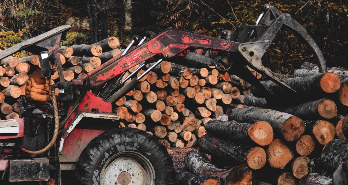 A photo of logging machinery at work.