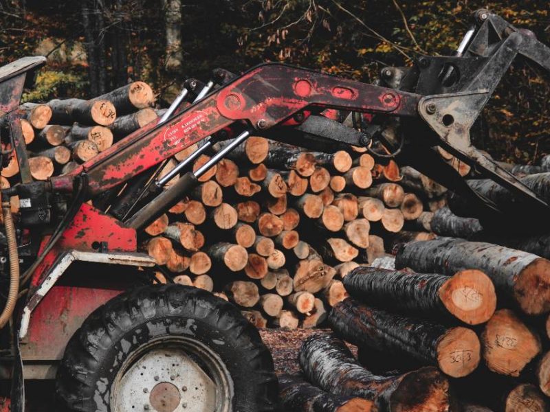 A photo of logging machinery at work.