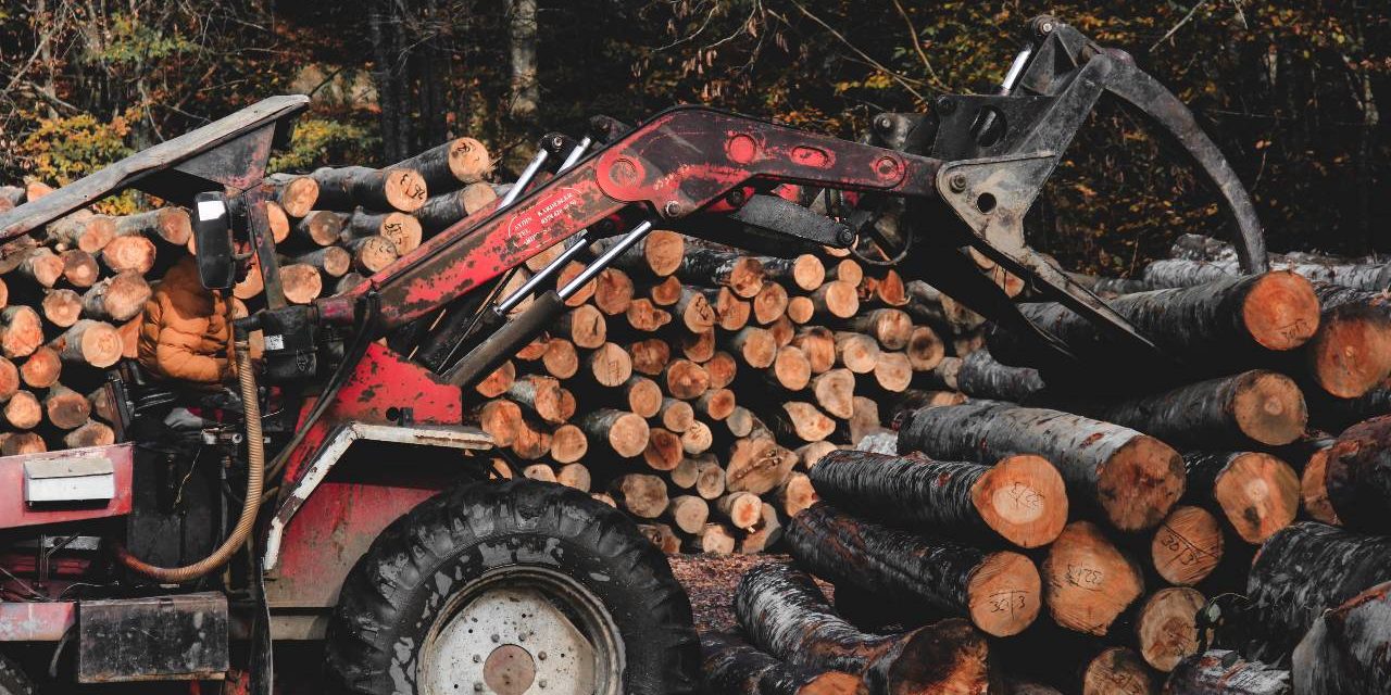 A photo of logging machinery at work.