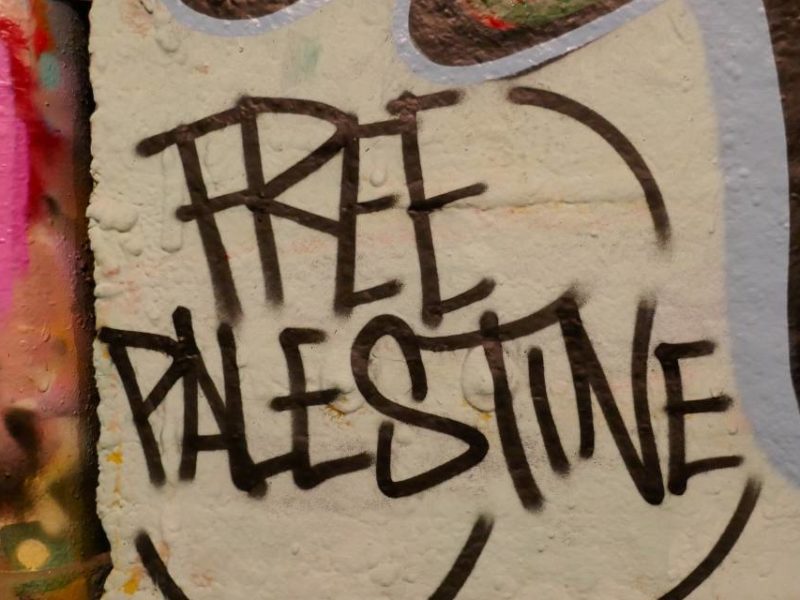 A photot of street art promoting a free Palestine.