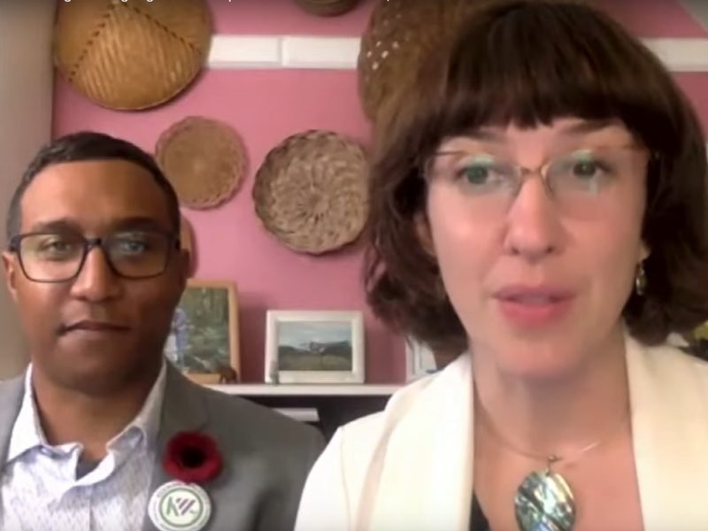 Pictured are co-leadership candidates Chad Walcott and Anna Keenan during the Green Party's November 9 leadership debate.