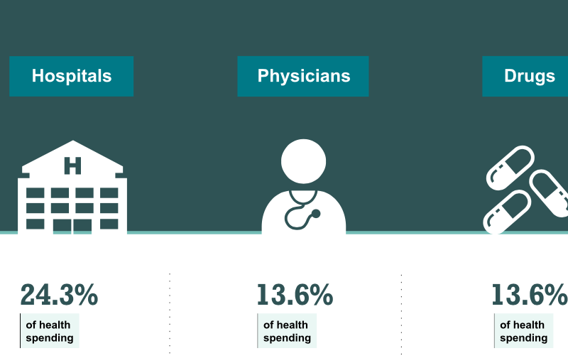 An infographic showing the hospitals make up 24.3 per cent of health spending, doctors make up 13.6 per cent and drugs make up another 13.6 per cent.