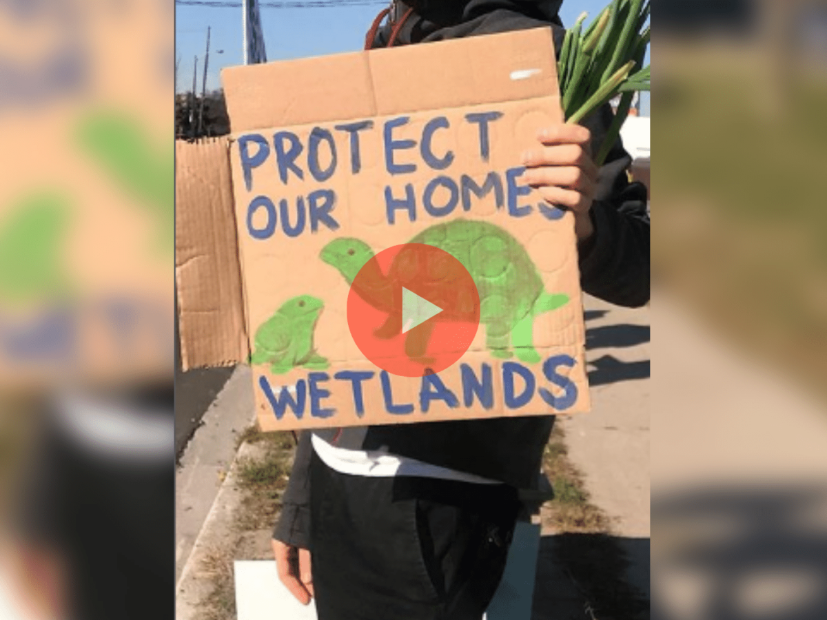 A photo of a sign that says "protect our home wetlands." Protests in Hamilton took place on November 13, 2022.