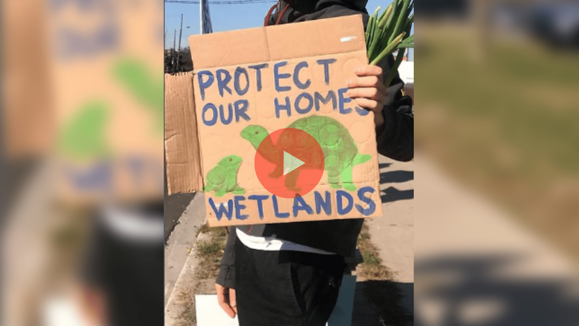 A photo of a sign that says "protect our home wetlands." Protests in Hamilton took place on November 13, 2022.