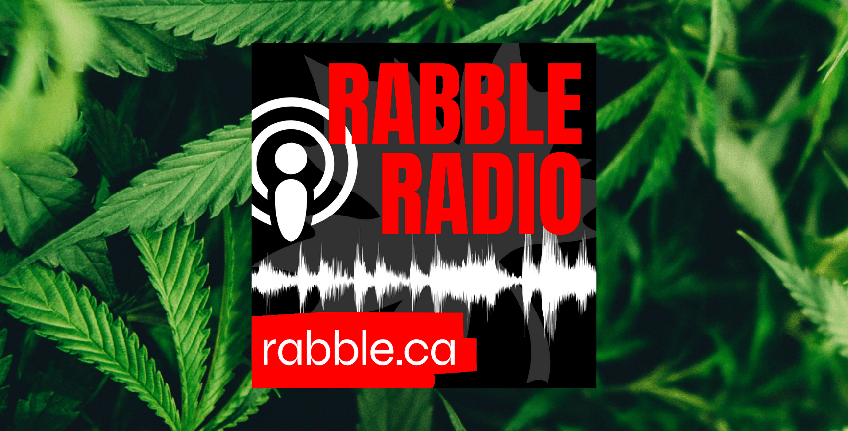 Cannabis in Canada – who’s running the show? | rabble.ca