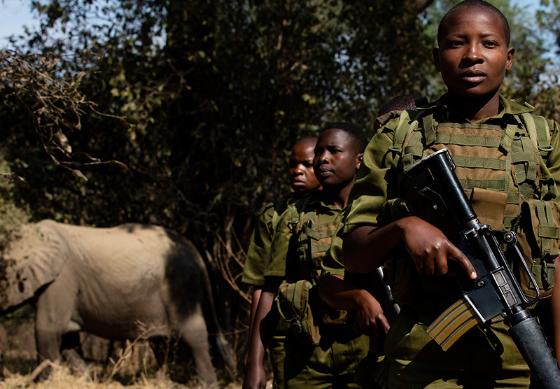An image of three people n military uniforms facing the camera. Behind them is an elephant.