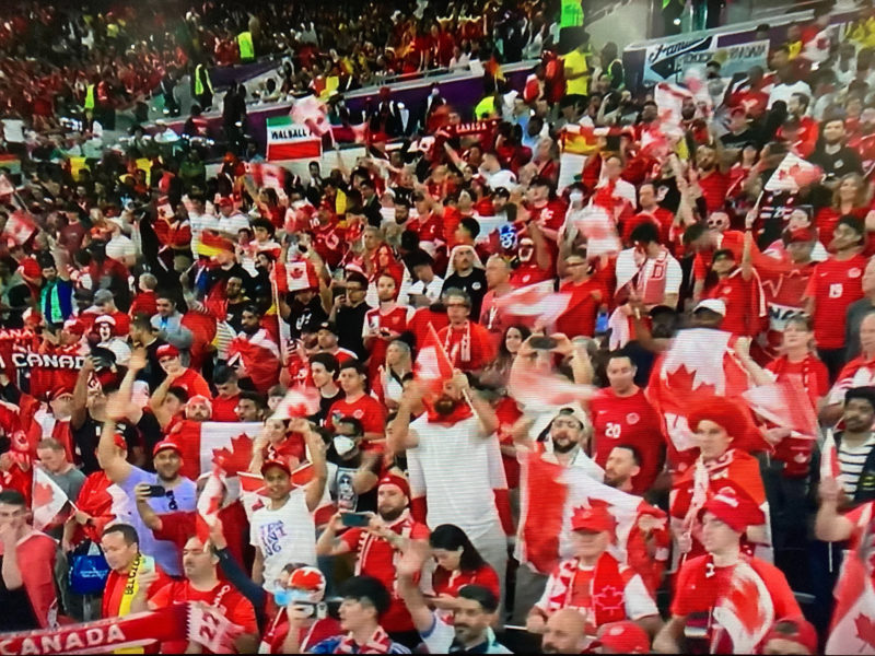 An image of Canadian fans in the stadium at the FIFA World Cup in Qatar.