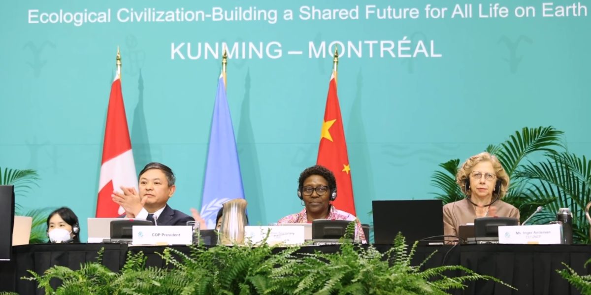 Members of the COP15 conference applauding the end of their work.