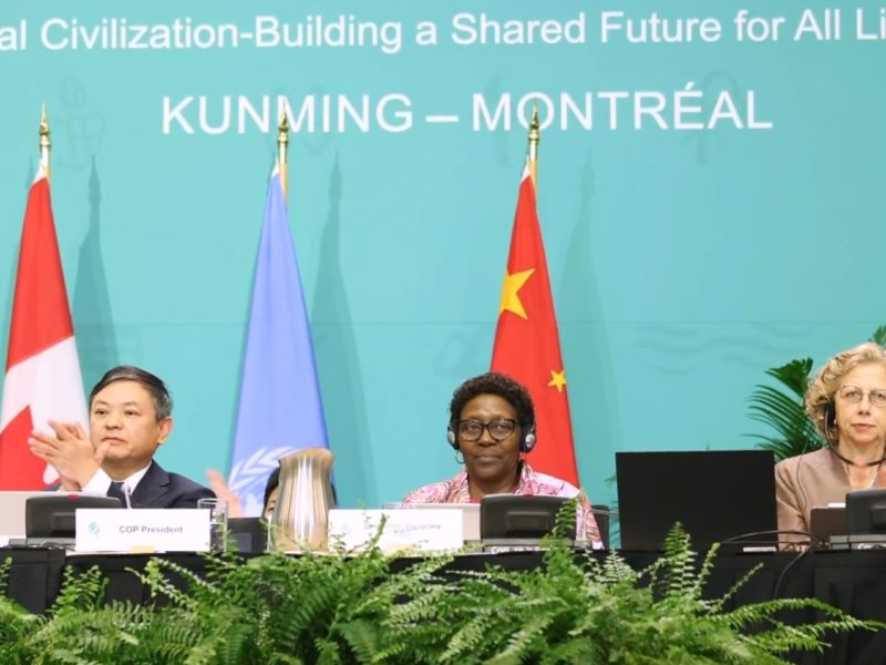 Members of the COP15 conference applauding the end of their work.