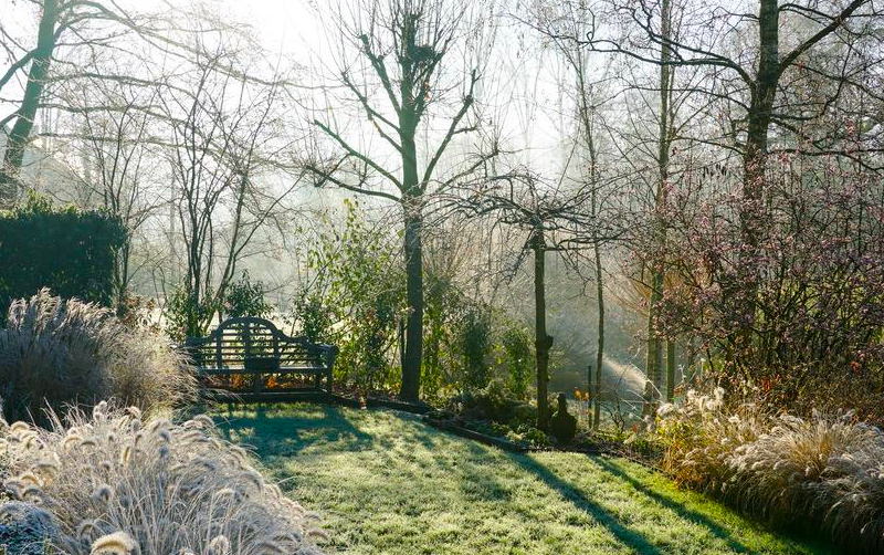An image of a garden with a thin layer of frost. Behind the garden are some trees without leaves.