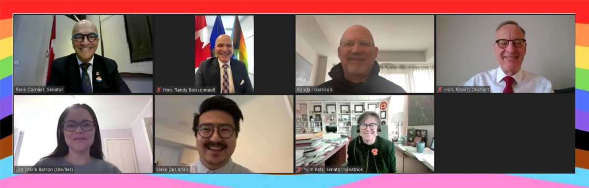 Members of the 2SLGBTQIA+ caucus during a Zoom call.