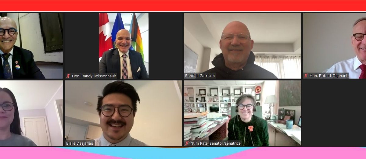 Members of the 2SLGBTQIA+ caucus during a Zoom call.