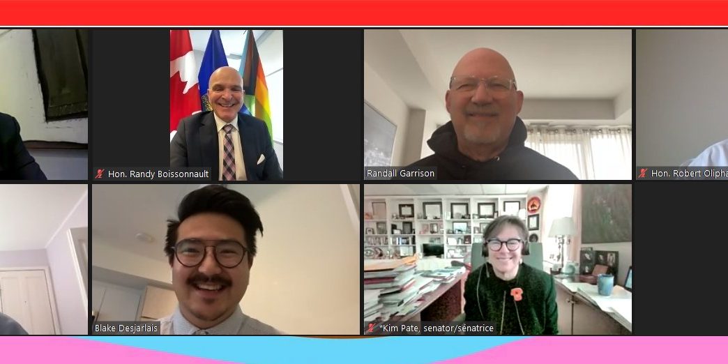 Members of the 2SLGBTQIA+ caucus during a Zoom call.