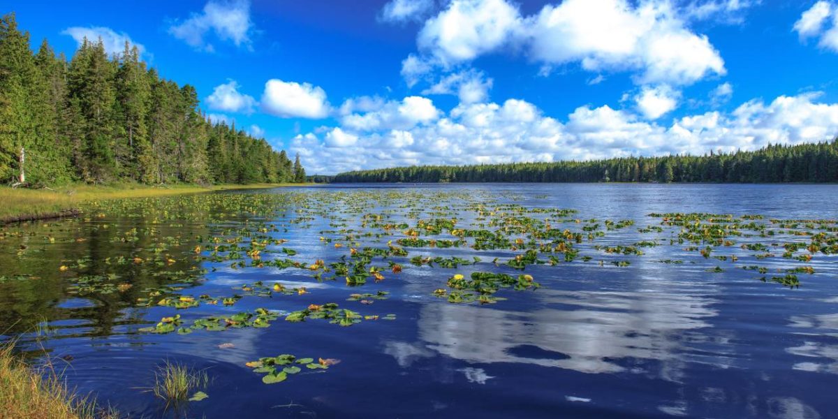 Queen Charlotte Island in Haida Gwaii.