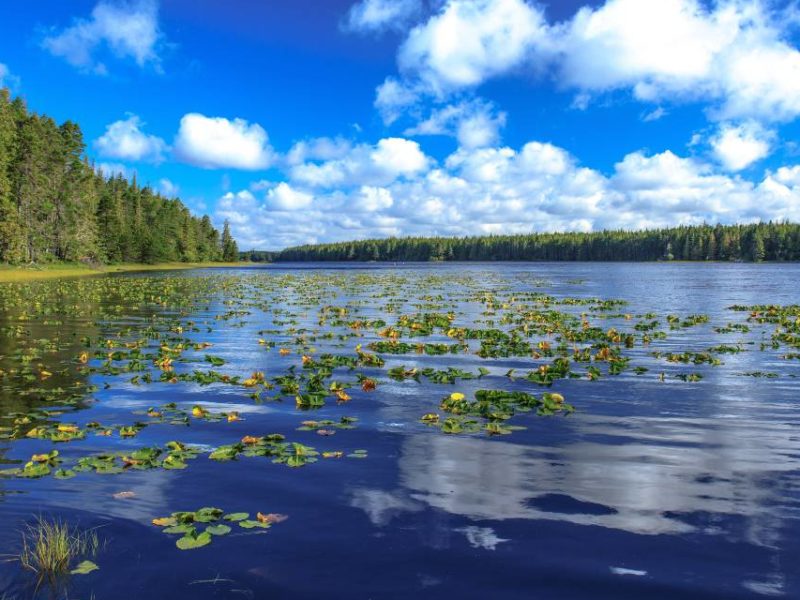 Queen Charlotte Island in Haida Gwaii.