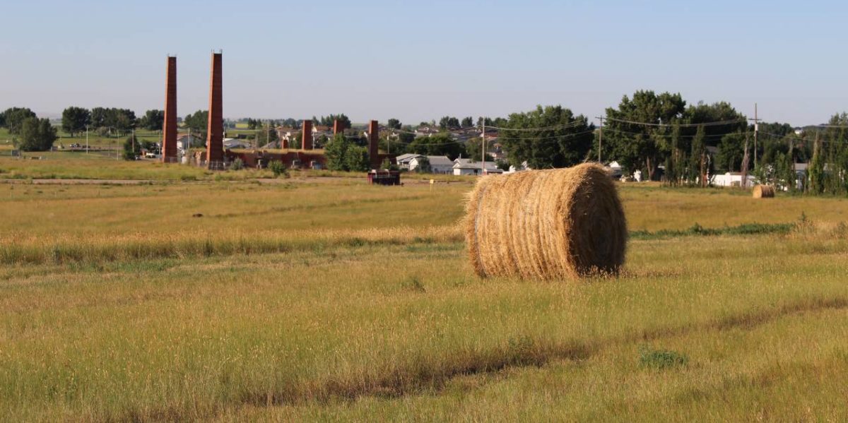 Farmland near Redcliff, AB.