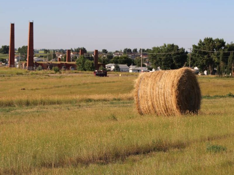 Farmland near Redcliff, AB.