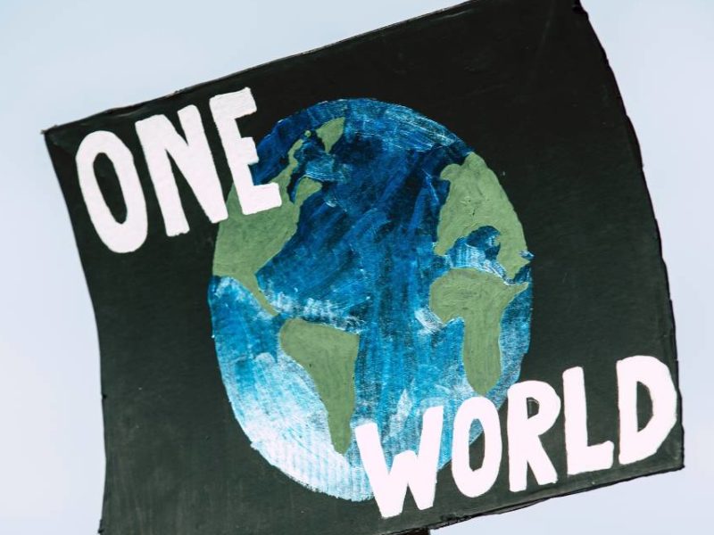 A climate crisis protest sign featuring a globe and the words "One World."