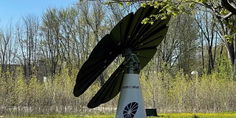 SmartFlower generates and stores renewable energy.