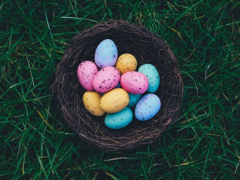 Painted Easter eggs in a bird's nest.