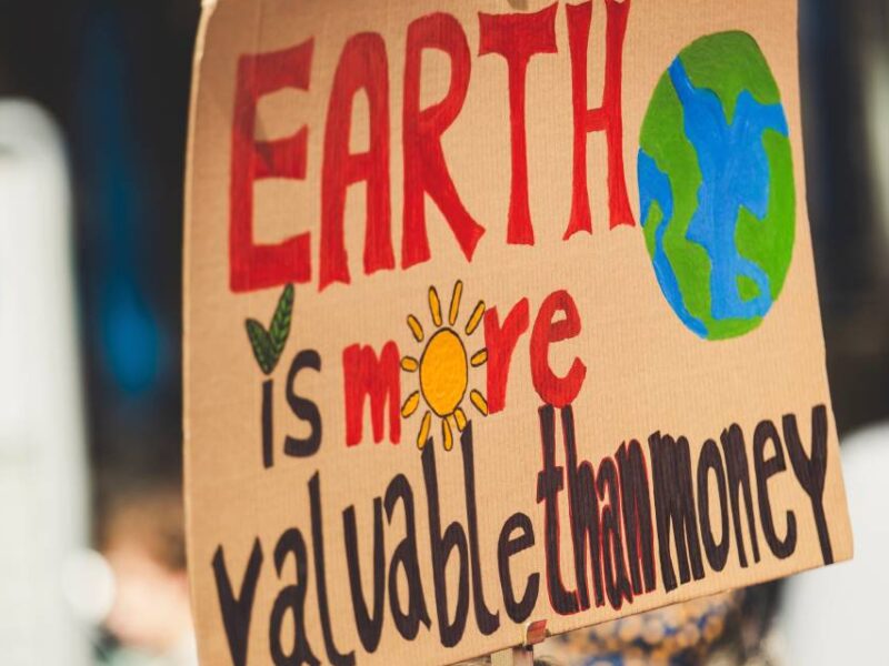 A protest sign explaining the Earth is more valuable than money.