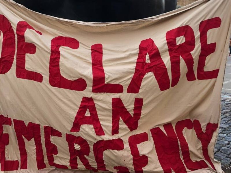 Two people holding a banner with the words "declare and emergency" painted in red.