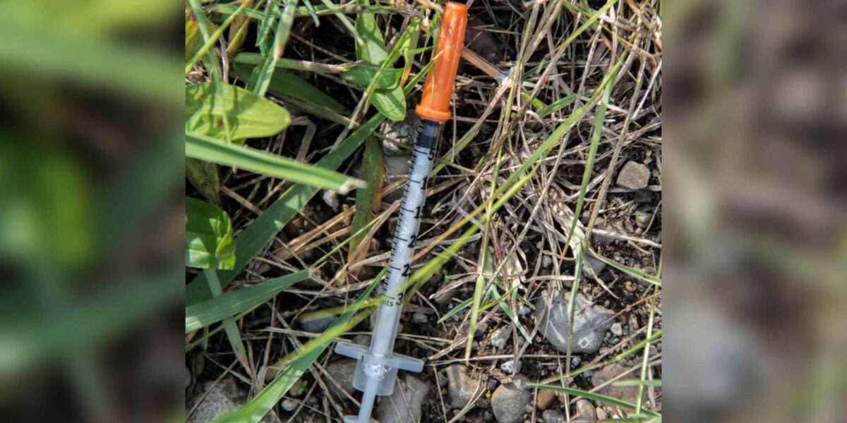 A syringe in the grass.