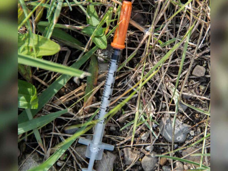 A syringe in the grass.