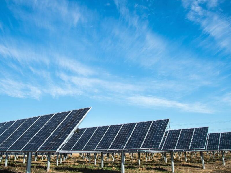 A field of solar panels beneath a blue sky.
