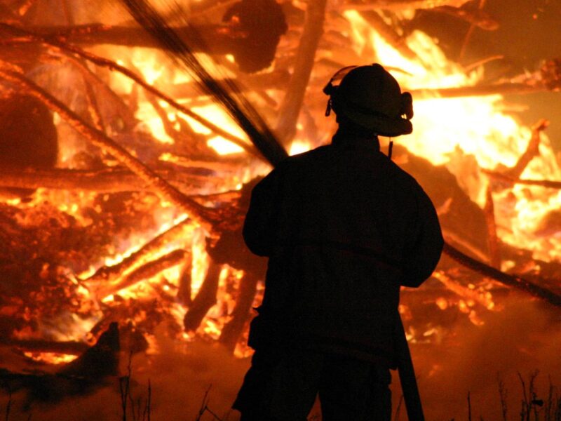 A firefighter combating a forest fire.