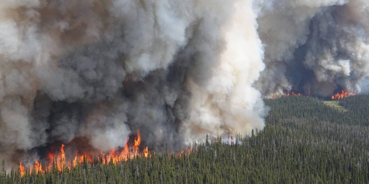 A wildfire burning a forest in B.C. this summer.