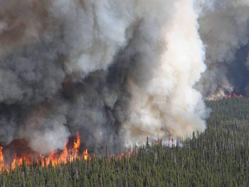 A wildfire burning a forest in B.C. this summer.