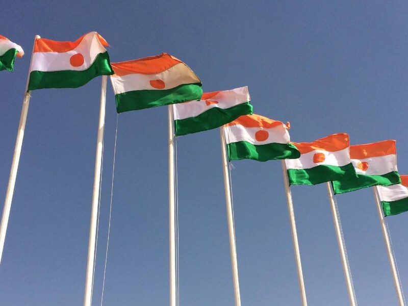 A series of Niger flags.