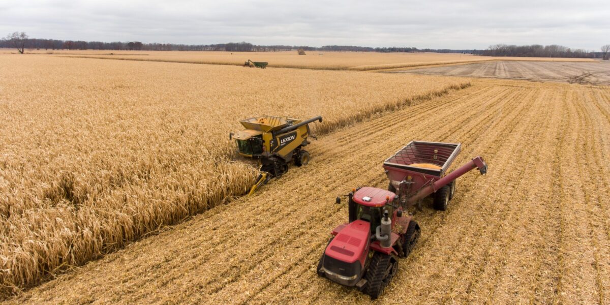 Combine and semi-truck harvesting corn in southwest Michigan.