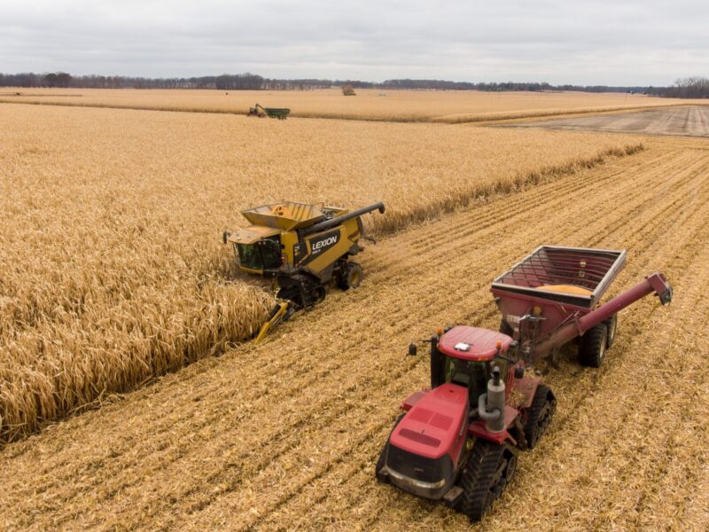 Combine and semi-truck harvesting corn in southwest Michigan.
