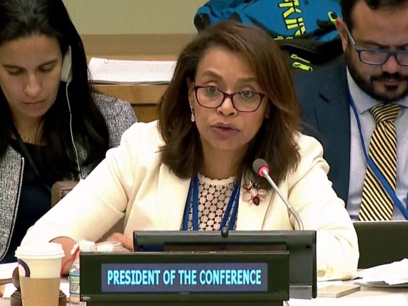 Elayne Whyte Gómez, president of the negotiating conference for the Treaty on the Prohibition of Nuclear Weapons.