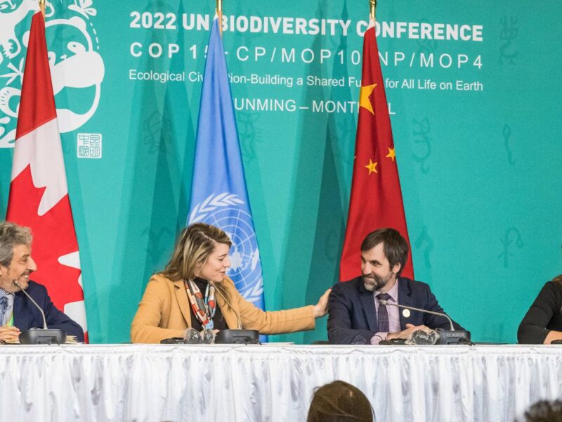 Canada's Global Affairs Minister Melanie Joly pats Environment Minister Steven Guilbeault on the shoulder at the COP15 summit in December of 2022.