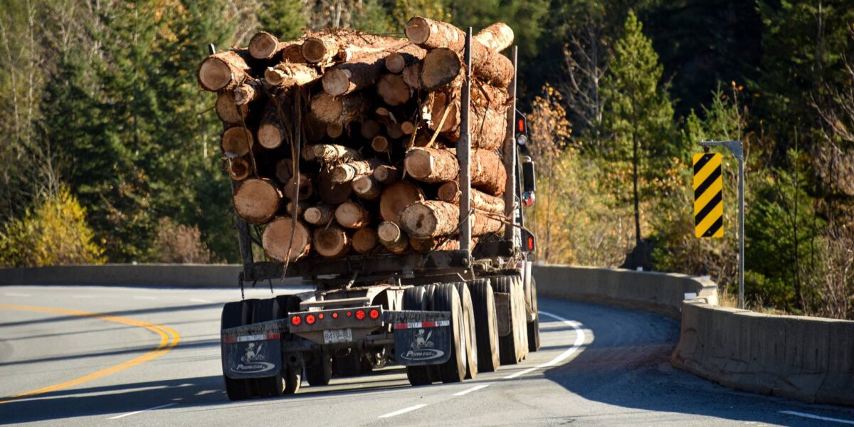 A logging truck carrying logs of wood driving down a road.