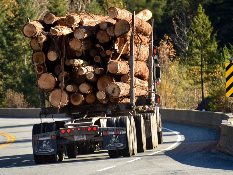 A logging truck carrying logs of wood driving down a road.