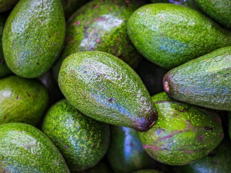 An image of a pile of avocados. Avocados have burst in popularity but their carbon footprint might surprise you.