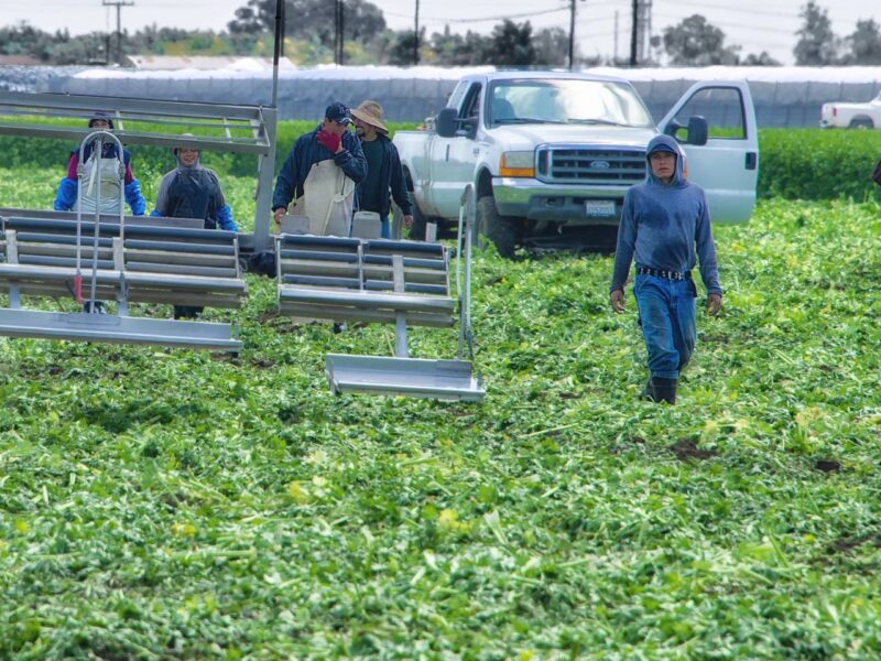 Farm labourers