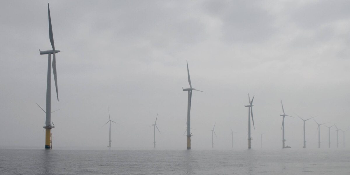 An offshore wind farm.