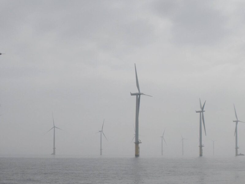 An offshore wind farm.