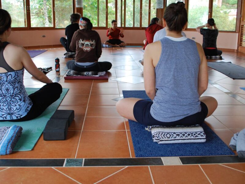 Yoga students sit on their mats waiting for class to begin.