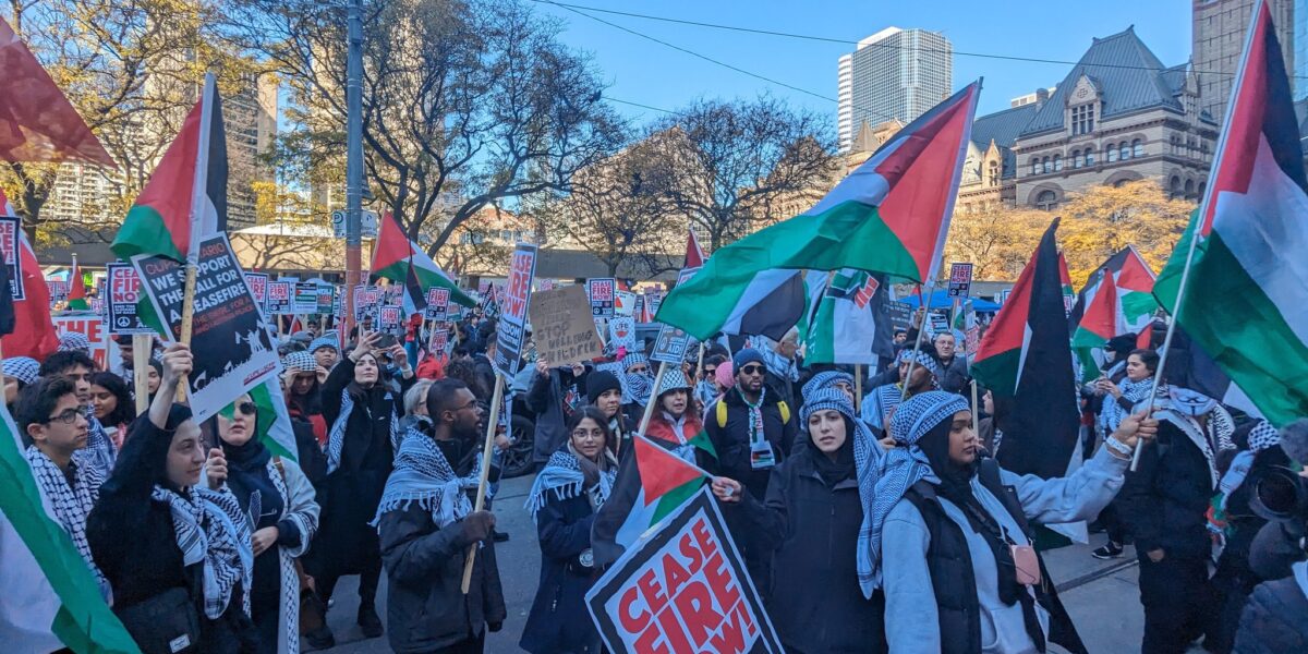 A rally in Toronto on November 12 calling for a ceasefire in Gaza. Palestinian flags are seen along with signs that read "Ceasefire Now."