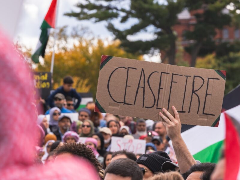 A person holds a sign reading "ceasefire" to protest Israel’s weeks-long bombardment of Gaza.