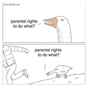 Meme of duck asking human: "Parental right to do what?"