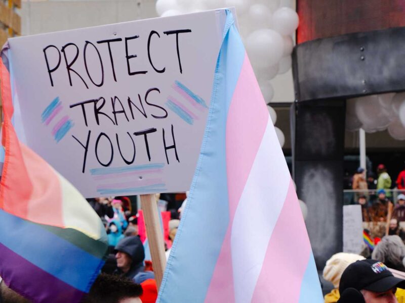 A sign calling for the protection of trans youth at one of the recent school protests.