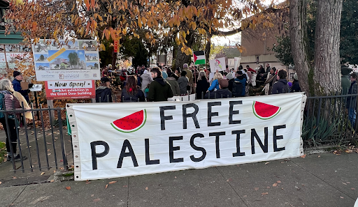 A march for Palestine in Quw’utsun territory (Cowichan Valley), BC.