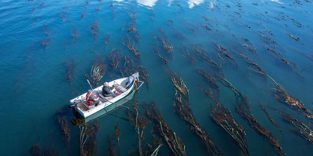 Fishing near coastal waters.